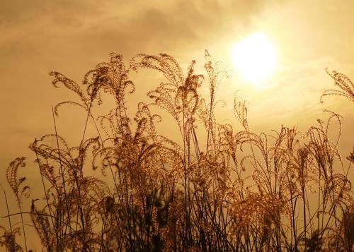 若要从此过_留下买路钱《猜一数学词语》