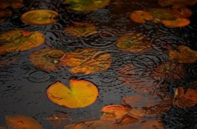 刚出世 《金庸小说人物》