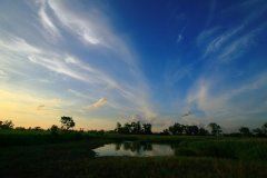 黑棋输了《猜一古人》