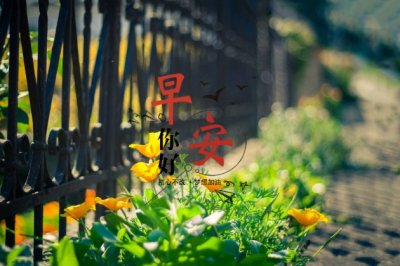 头戴珊瑚真正美,身穿皮袍花如梅,纤纤细腿虽瘦小,翻山越岭快如飞《打一个动物》