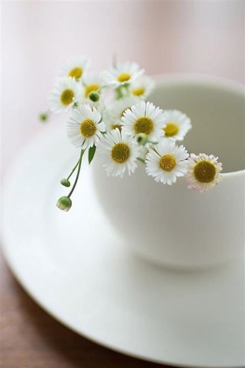 猜谜语题目:山寺后面夜半宁《打一个民俗》