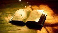 无脚也无手_身穿鸡皮皱-谁若碰着它_吓得连忙走-《猜一动物》