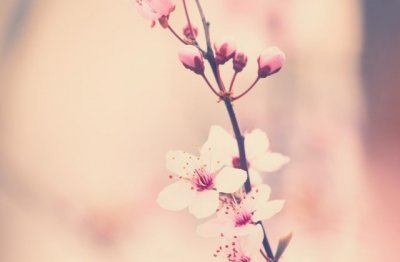 羽绒上装羊皮帽 《打一成语》