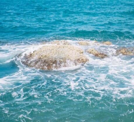 君未得道矣《猜一数学词语》