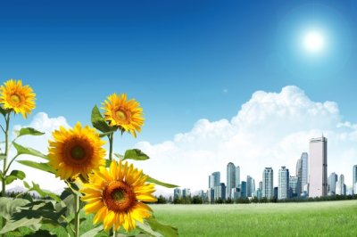 扣留一个翻译　《猜成语》