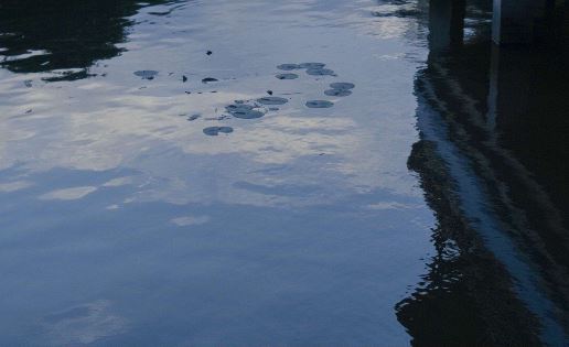 定教华夏美如画 《戏曲人物》