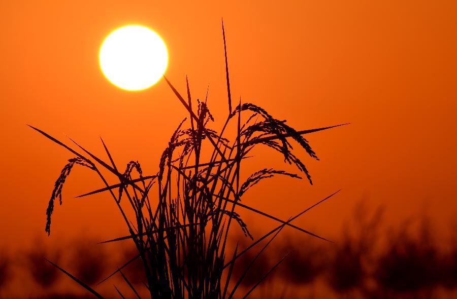 猜谜语题目:无底洞《打一个成语》