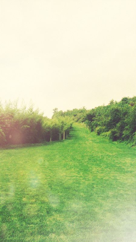 官职变动不必说　《猜成语》