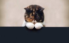 大年初一过生日《猜一中国地名》