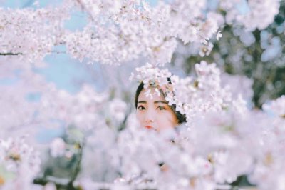纤如杨柳真堪握 《食品带量》