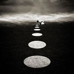 猜谜语题目:小荷才露尖尖角《打一个植物学词》