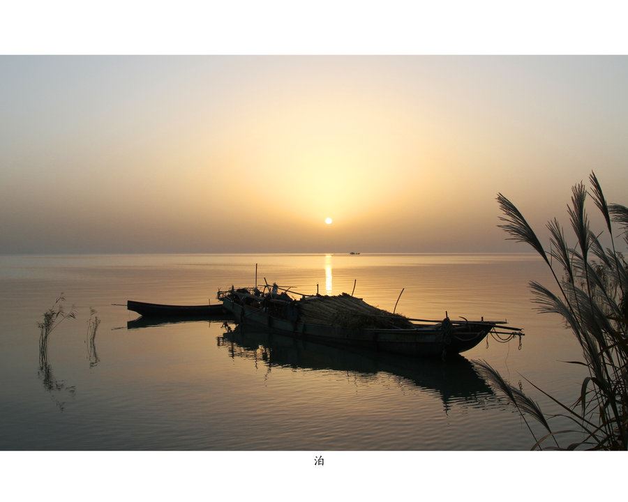 背板过海满腹文章,从无偷窃行为,为何贼名远扬《打一个动物》