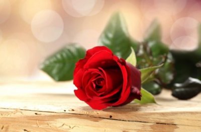 有心常常念二十 《四画单字》