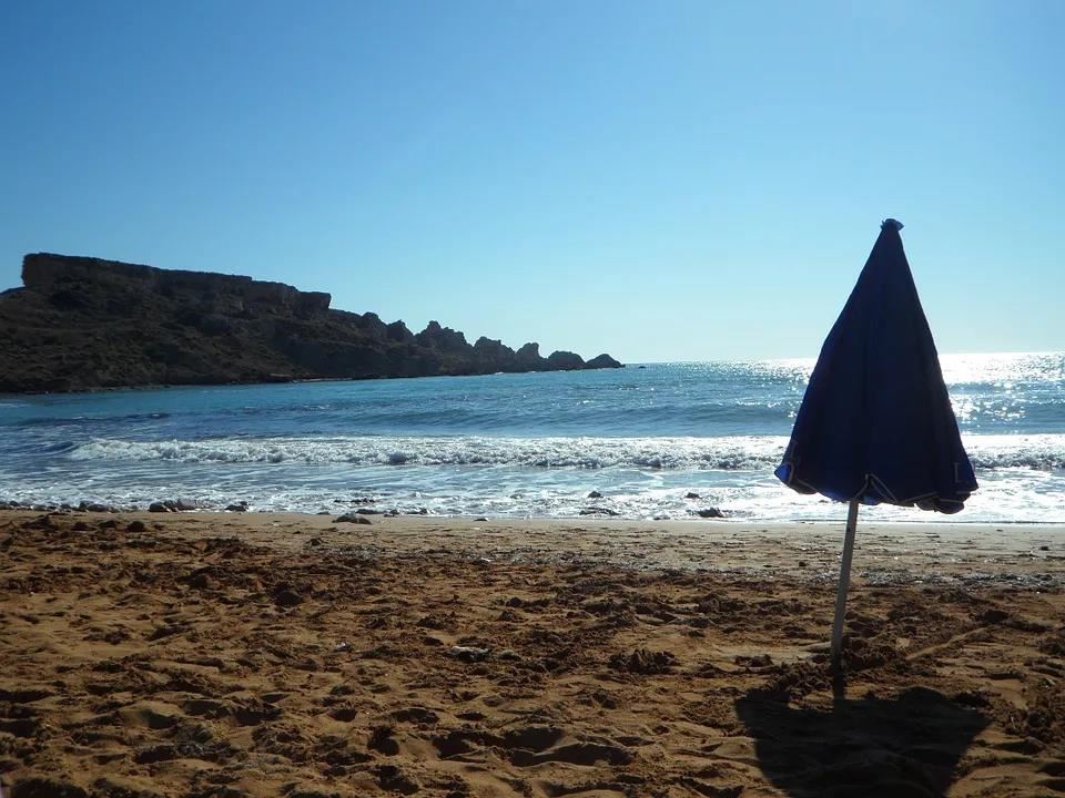 两弯新月头上长_常常喜欢水中躺_身体庞大毛灰黑_劳动是个好闯将《猜一动物》