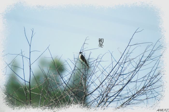 经济没搞活 《曲艺形式一》