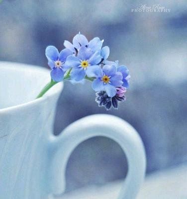 人过留名　《猜财会名词》