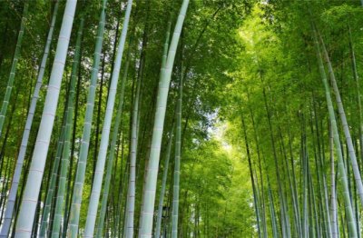 毛毛雨不用去管它《猜一中国地名》