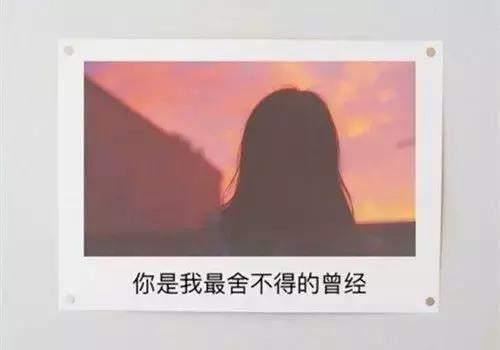 精耕细作才合算 《骊珠》