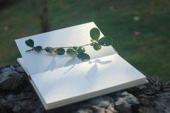 去了上半截,有了下半截,比成两半截,又无下半截《打一个字》