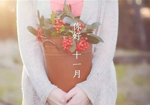 示心意和君相携 《音乐名词》