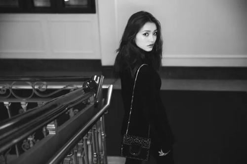 猜谜语题目:挥霍殆尽《打一个植物学词》