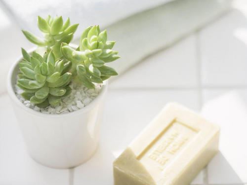 再在关键处看看 《常用词二_2+2》