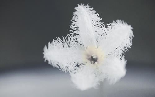 嗦　《猜三国人物二》