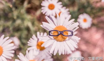 田间荷锄头_归来言读书 《打一字》