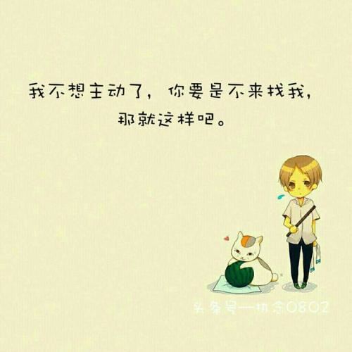 陈仓印象 《央视栏目》