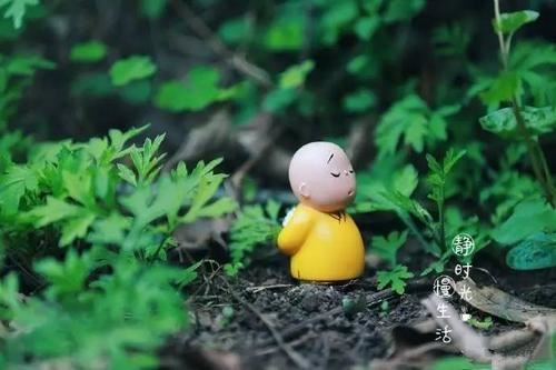 木偶对话 《名人》
