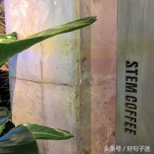 斜阳映里弄 《中国影目一》