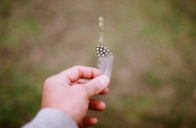 想看就看 《金庸小说人物》