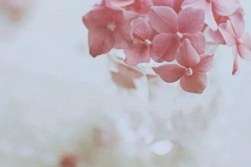 颂扬故乡美_艳如一朵花 《骊珠》