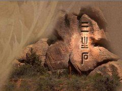 船板硬船面高,四把桨慢慢摇《打一个动物》