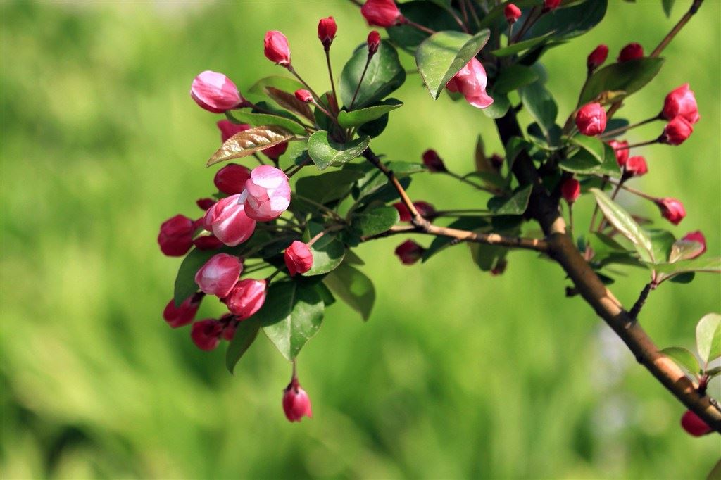 瑶乡长寿县的难解之谜　下楼格《猜外国政要》