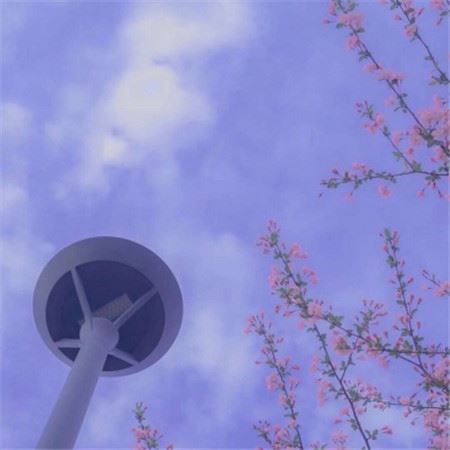 香花一条街 《路名》