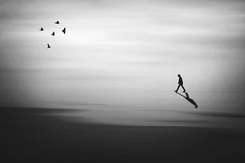 税收入仓 《外球星》