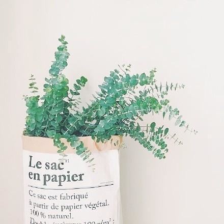 诗仙联名著自成《猜一字谜》