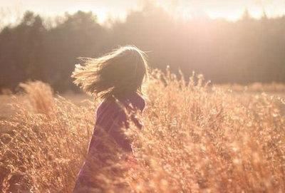 日照残花影_露滴杨柳梢 《武术名词》