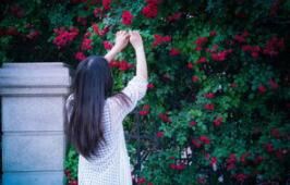 一时冲动_让人烦恼 《4字常言》