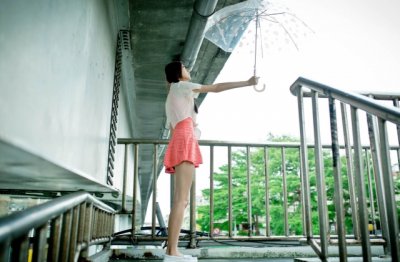 身子轻如燕_飞在天地间_不怕相隔远_也能把话传-《猜一动物》