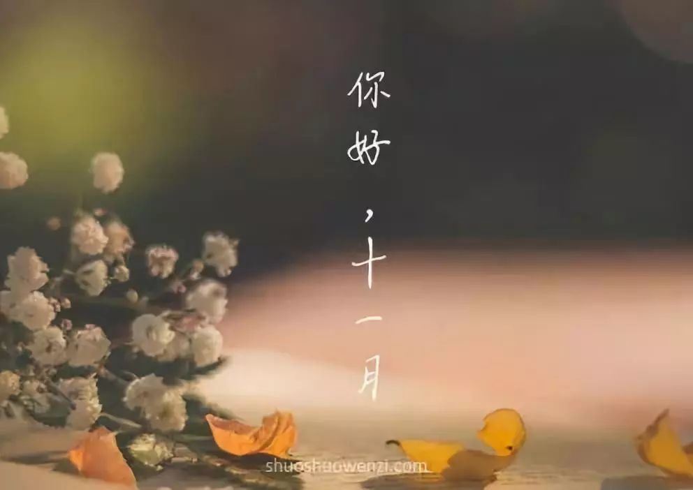 新西北采风 《九画单字》