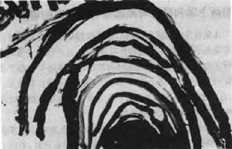 说它是马猜错了_穿的衣服净道道_把它放进动物园_大人小孩都爱瞧-《猜一动物》