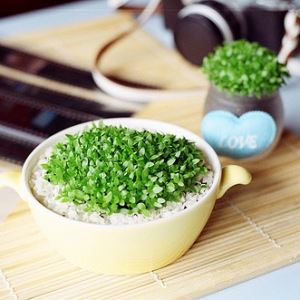 双双相会并肩行《猜一数学词语》