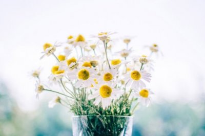 一对夫妻一个孩《猜一数学词语》