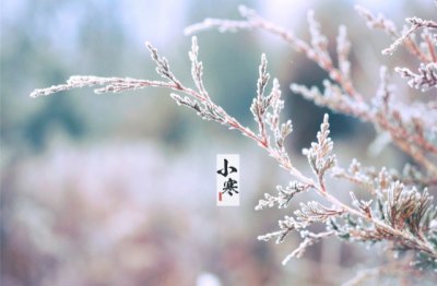 歌词专集 《五字口语》
