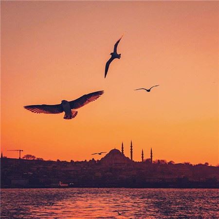 盘点《猜一数学词语》