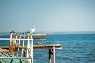 支出帐一清二楚 《五唐》