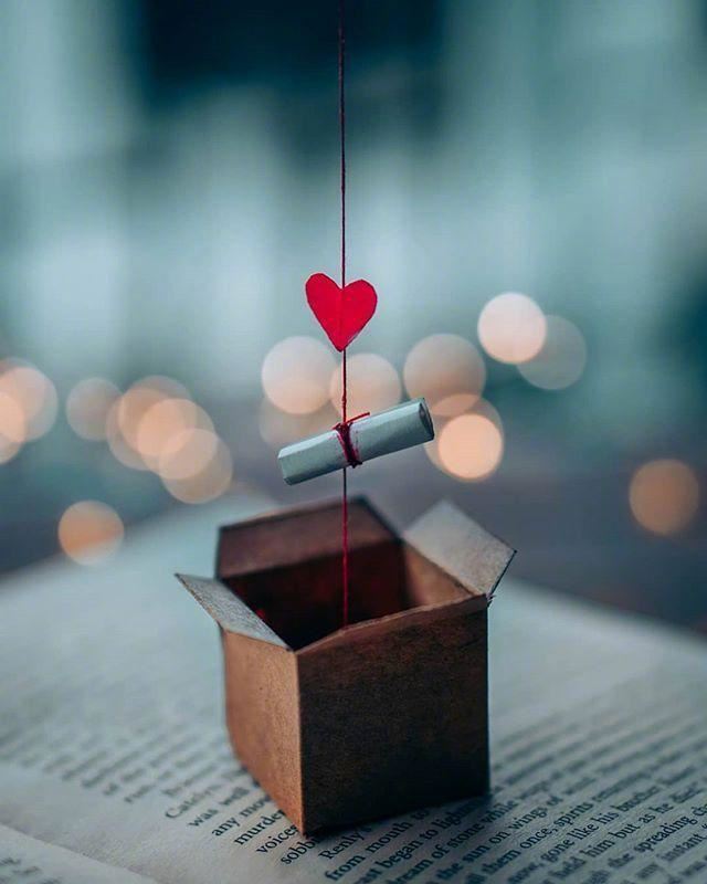 “历尽西风雁不来” 《科技名词》