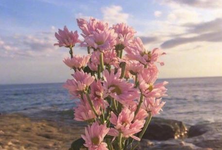 迁居纽约花费多 《称谓名词》